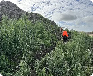 Før udgravningen